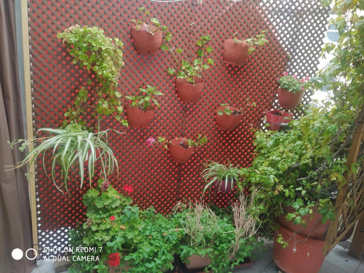 Habitacion Familiar En Un Atico Con Gran Terraza Y,Cocina ,En La Playa Буриана Екстериор снимка